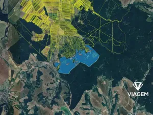 Prodej podílu lesa, Javorník, 1035 m2