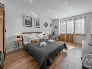 Pronájem bytu 1+kk, Ostrava - Poruba, Sokolovská, 25 m2