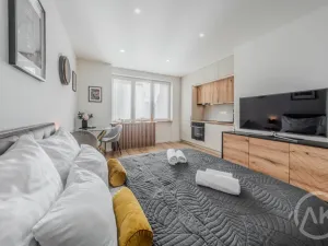 Pronájem bytu 1+kk, Ostrava - Poruba, Sokolovská, 25 m2