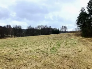 Prodej pole, Dolní Město, 124655 m2