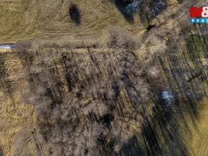 Prodej louky, Dětřichov, 4178 m2