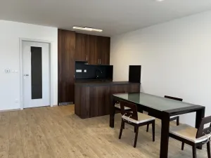 Pronájem bytu 1+kk, České Budějovice, Chelčického, 47 m2