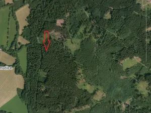 Prodej lesa, Petrovice u Sušice - Trsice, 18883 m2