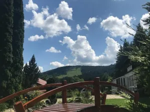 Prodej ubytování, Železná Ruda - Alžbětín, 2455 m2