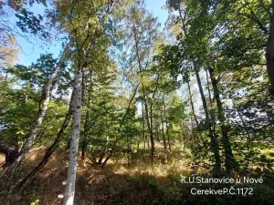 Prodej lesa, Nová Cerekev, 1967 m2