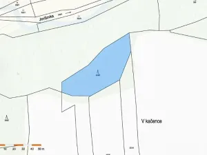 Prodej lesa, Boskovštejn, 2506 m2