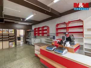 Prodej obchodního prostoru, Paskov, Náměstí, 250 m2