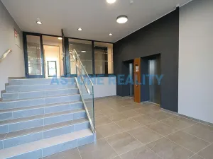 Pronájem bytu 1+kk, Praha - Žižkov, Šrámkové, 43 m2