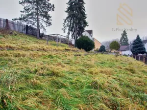 Prodej vícegeneračního domu, Ústí nad Labem - Sebuzín, 180 m2