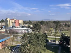 Prodej bytu 2+1, Hodonín, Brandlova, 59 m2