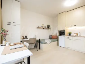 Pronájem bytu 1+kk, Brno - Zábrdovice, Bratislavská, 35 m2