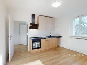 Pronájem bytu 2+kk, Orlová, V Zimném dole, 40 m2