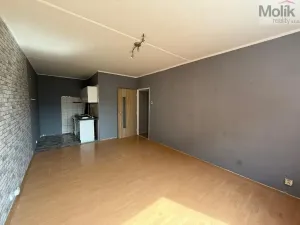 Pronájem bytu 2+kk, Most, Jana Kříže, 40 m2