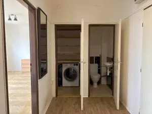 Prodej bytu 1+1, Praha - Vinohrady, Písecká, 52 m2