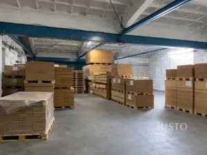 Pronájem skladu, Všejany, Na Prstýnku, 300 m2