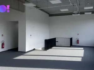 Pronájem obchodního prostoru, Brno - Černovice, 439 m2