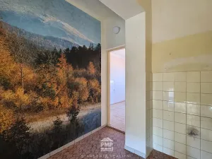 Prodej vícegeneračního domu, Brodek u Konice, 280 m2