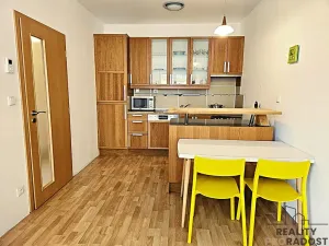 Pronájem bytu 2+kk, Brno, Haškova, 53 m2