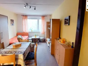 Pronájem bytu 1+kk, Cheb, Přátelství, 22 m2