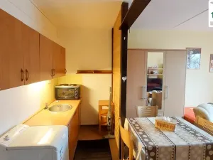 Pronájem bytu 1+kk, Cheb, Přátelství, 22 m2