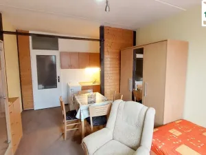 Pronájem bytu 1+kk, Cheb, Přátelství, 22 m2