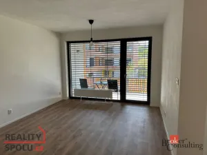 Pronájem bytu 2+kk, Plzeň - Východní Předměstí, Kartónová, 52 m2