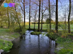 Prodej bytu 3+1, Žďár nad Sázavou, Purkyňova, 73 m2