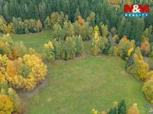 Prodej louky, Tanvald - Šumburk nad Desnou, 2029 m2