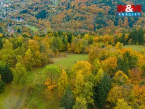 Prodej louky, Tanvald - Šumburk nad Desnou, 1589 m2