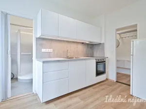 Pronájem bytu 2+1, Brno, Sýpka, 55 m2