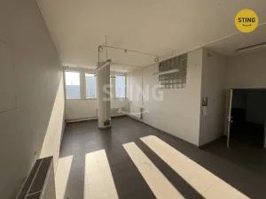 Pronájem výrobních prostor, Prostějov, Olomoucká, 128 m2