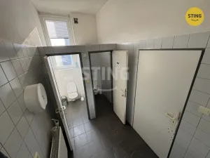 Pronájem výrobních prostor, Prostějov, Olomoucká, 128 m2