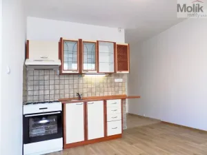 Prodej bytu 1+1, Ústí nad Labem - Severní Terasa, Ladova, 37 m2