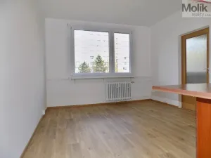 Prodej bytu 1+1, Ústí nad Labem - Severní Terasa, Ladova, 37 m2