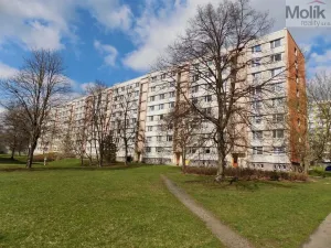Prodej bytu 1+1, Ústí nad Labem - Severní Terasa, Ladova, 37 m2