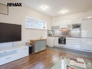 Prodej bytu 2+kk, Brno, Říčanská, 49 m2