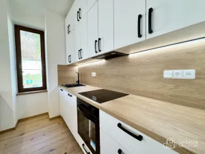 Pronájem bytu 2+kk, Karlovy Vary, Tyršova, 67 m2