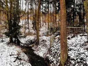 Prodej chaty, Jílové u Prahy, 40 m2