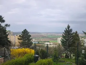 Prodej zahrady, Brno, 617 m2