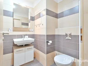 Pronájem bytu 1+kk, Brno, U Leskavy, 38 m2