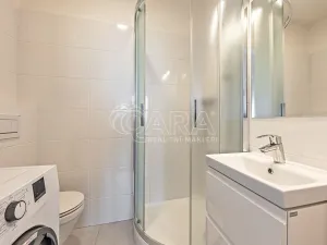 Pronájem bytu 1+kk, Praha - Nusle, V Horkách, 17 m2