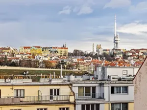 Pronájem bytu 1+kk, Praha - Nusle, V Horkách, 17 m2