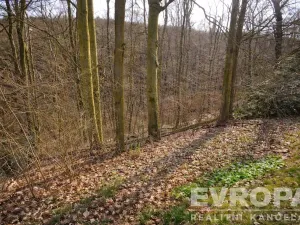 Prodej chaty, Svatý Jan pod Skalou - Záhrabská, Na Výsluní, 55 m2