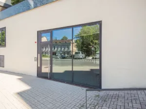 Prodej bytu 5+kk, Karlovy Vary, Pražská silnice, 149 m2