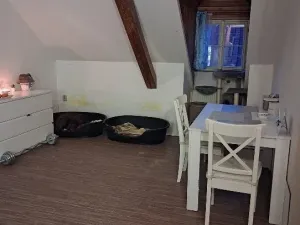 Pronájem bytu 3+kk, Mladá Boleslav - Čejetičky, Vinecká, 80 m2