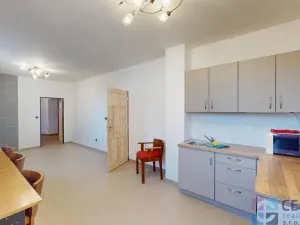 Pronájem bytu 4+kk, Jenišovice, 101 m2