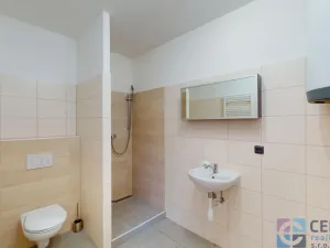 Pronájem bytu 4+kk, Jenišovice, 101 m2