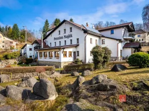 Prodej ubytování, Nová Ves nad Nisou, 1026 m2