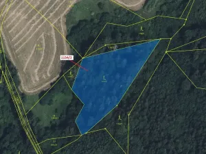 Dražba lesa, Letohrad, 3699 m2