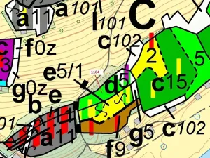 Dražba lesa, Plasy, 1489 m2